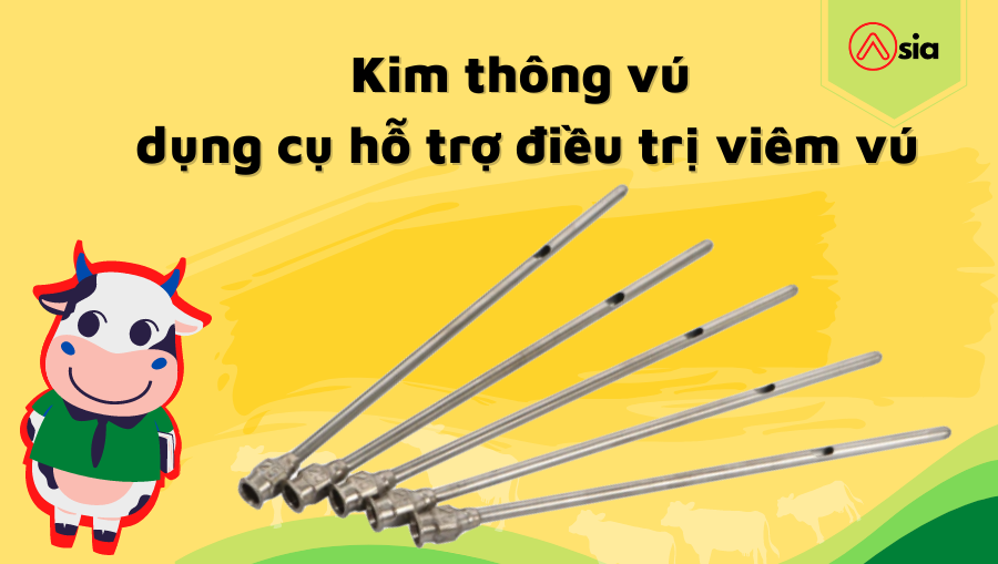 Kim-thong-vu-dung-cu-ho-tro-dieu-tri-viem-vu