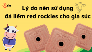 Ly-do-nen-su-dung-da-liem-red-rockies-cho-gia-suc