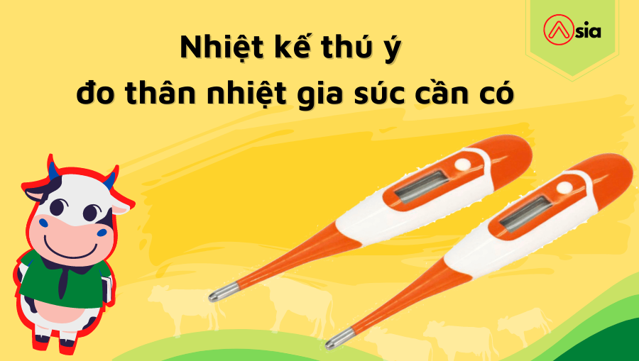Nhiet-ke-thu-y-do-than-nhiet-gia-suc-can-co