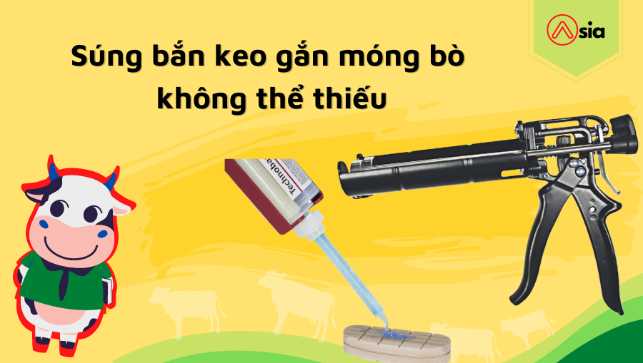 Sung-ban-keo-gan-mong-bo-khong-the-thieu