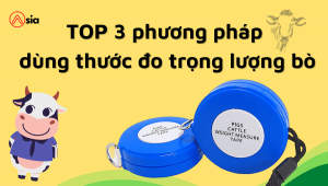 Top-3-phuong-phap-dung-thuoc-do Trong-luong-bo