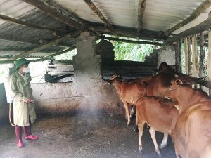 Khu-trung-chuong-trai