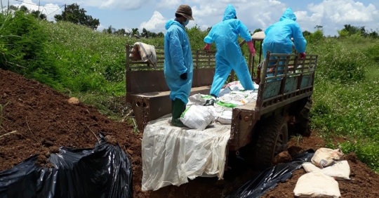 Tiêu Hủy Trên 5.000 Con Vịt Mắc Cúm A/h5n6_6129f59dadaa6.jpeg