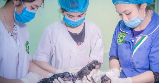 Ưu đãi Lưu Trú, Chăm Sóc Vật Nuôi Trong Mùa Dịch Covid-19_6129f5a93a354.jpeg