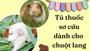 Thiết Kế Không Tên (20)