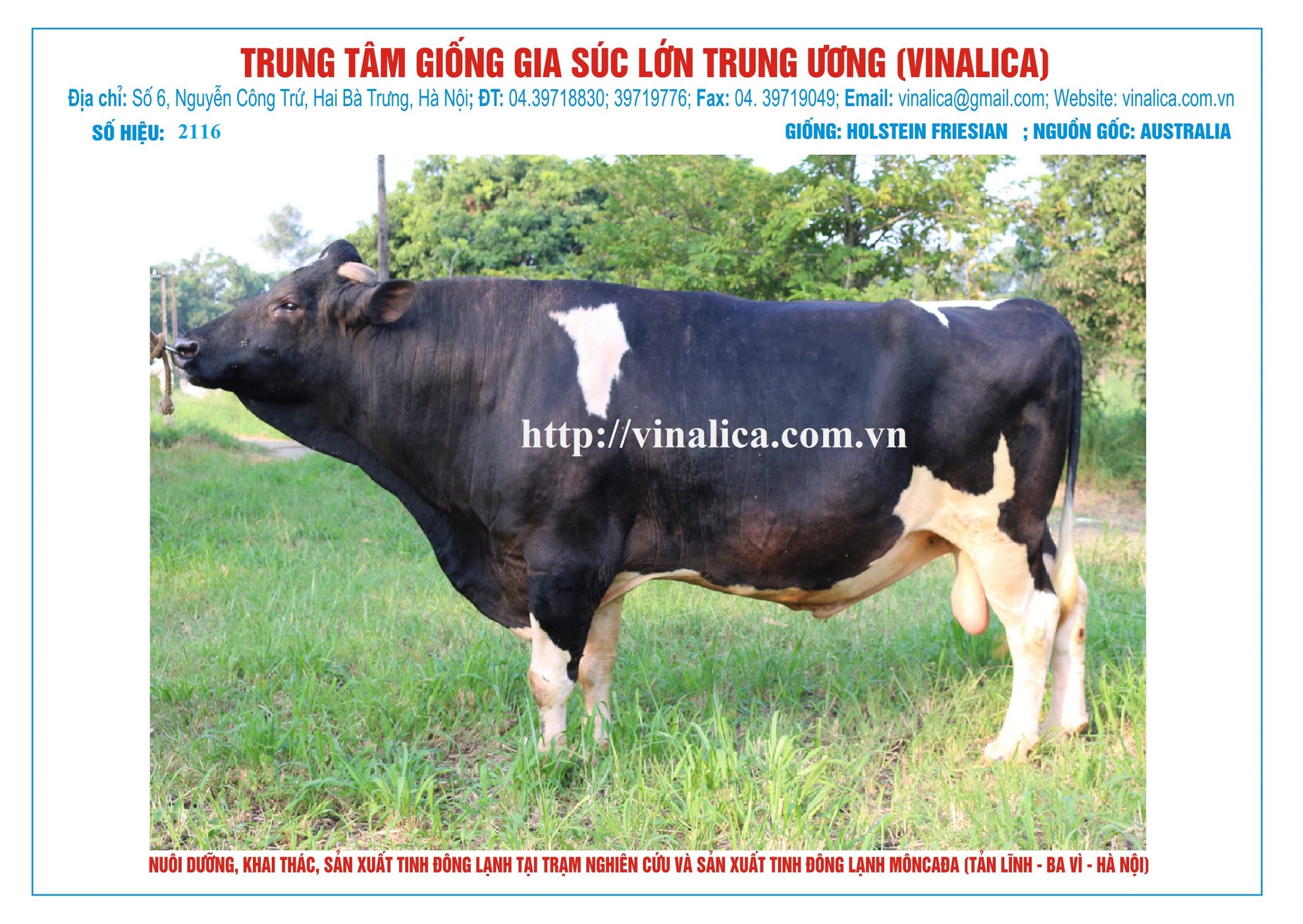 Tinh_bo_hf_2116_0972502797