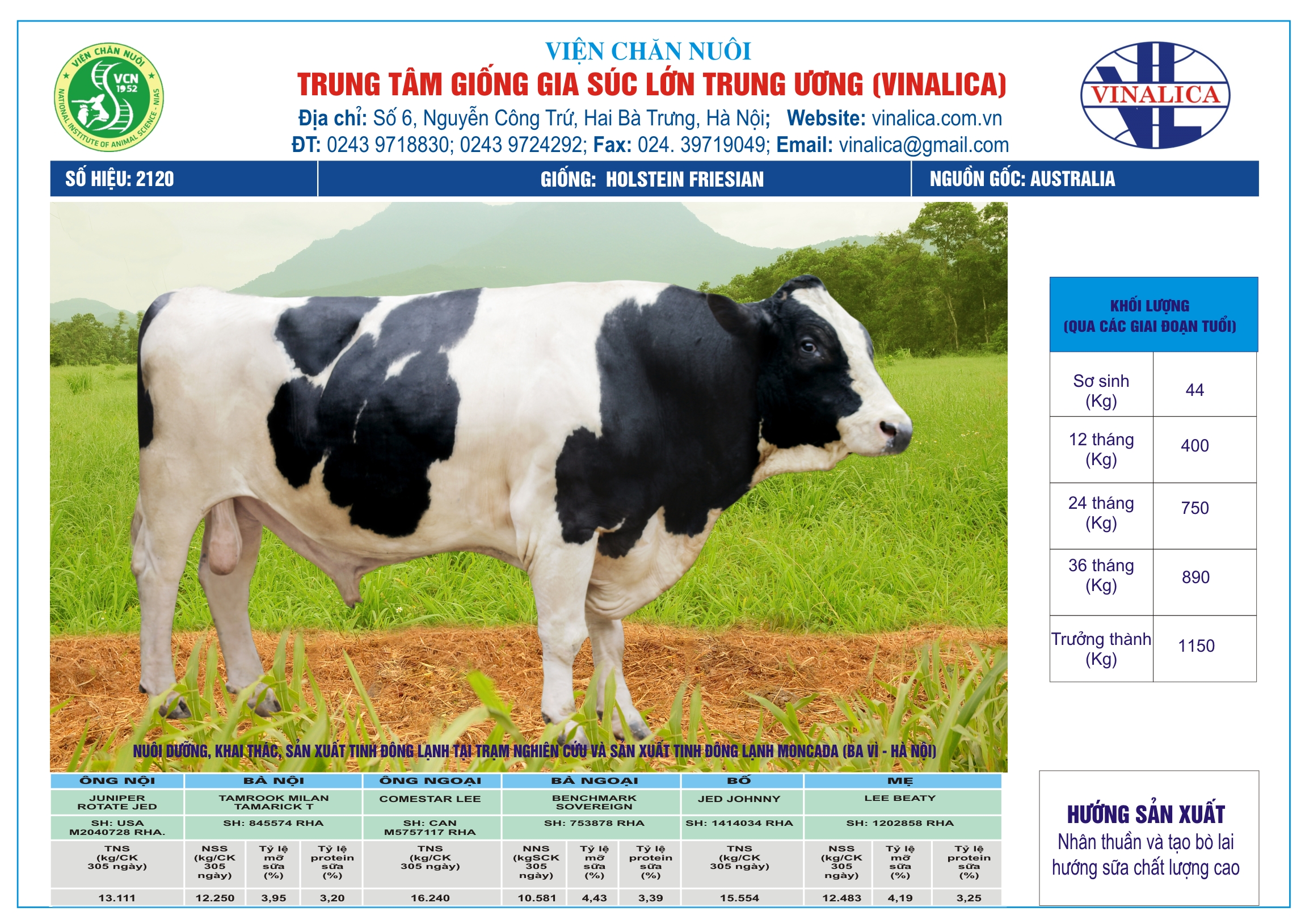 Tinh_bo_hf_2120_0972502797