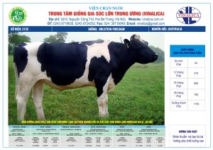 Tinh_bo_hf_2122_0972502797