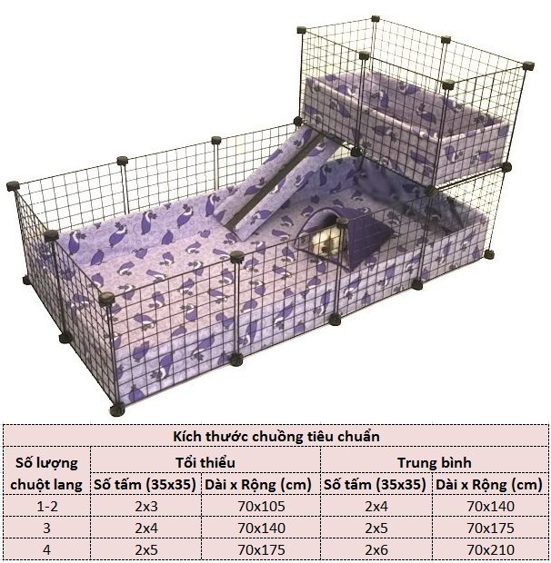 Chuong_chuot_lang_0972502797