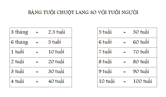 Chuột Con