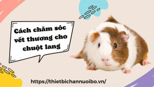 Thiết Kế Không Tên (40)