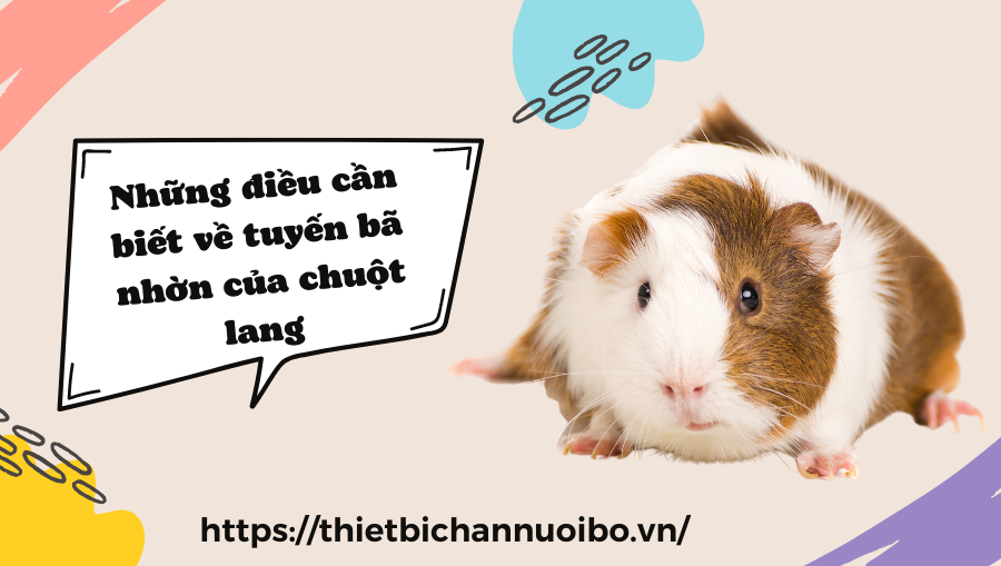 Thiết Kế Không Tên (42)