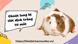 Thiết Kế Không Tên (43)