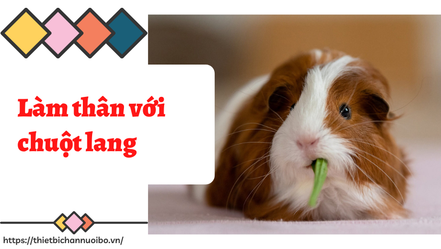 Thiết Kế Không Tên (53)