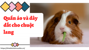 Thiết Kế Không Tên (57)