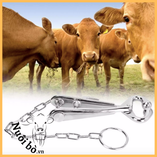 Kep_mui_dieu_khieu_gia_suc_inox_trung_quoc_4_0906732376