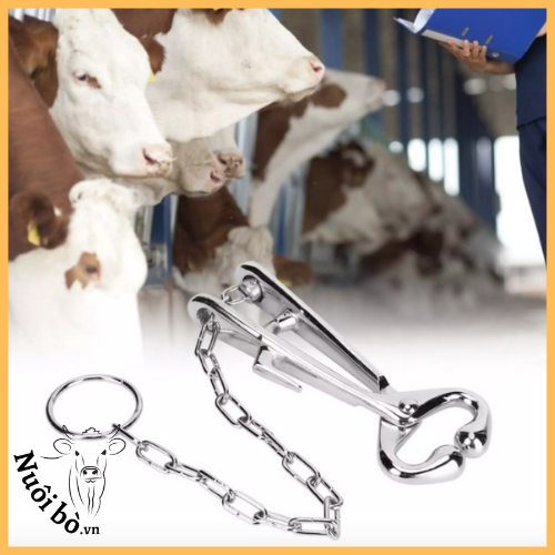 Kep_mui_dieu_khieu_gia_suc_inox_trung_quoc_6_0906732376