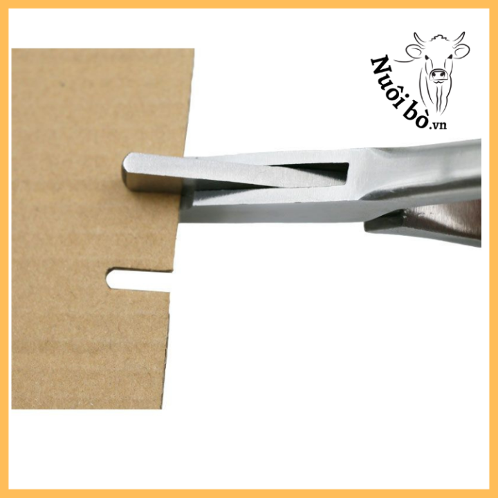 Kim_bam_ria_tai_hinh_chu_u_0906732376