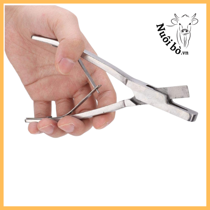 Kim_bam_ria_tai_hinh_chu_v_2_0906732376