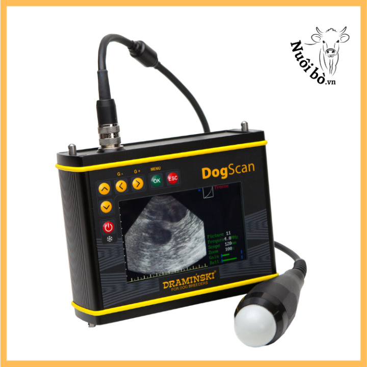 May_sieu_am_thai_cho_draminski_dogscan_ha_lan_0906732376_1