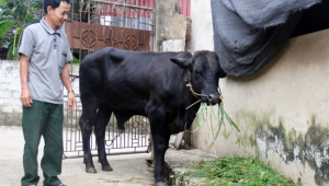 Thiết Kế Chưa Có Tên (10)