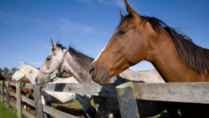 Thiết Kế Chưa Có Tên (11)