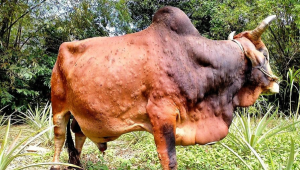 Thiết Kế Chưa Có Tên (12)