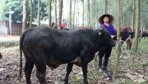 Thiết Kế Chưa Có Tên (13)