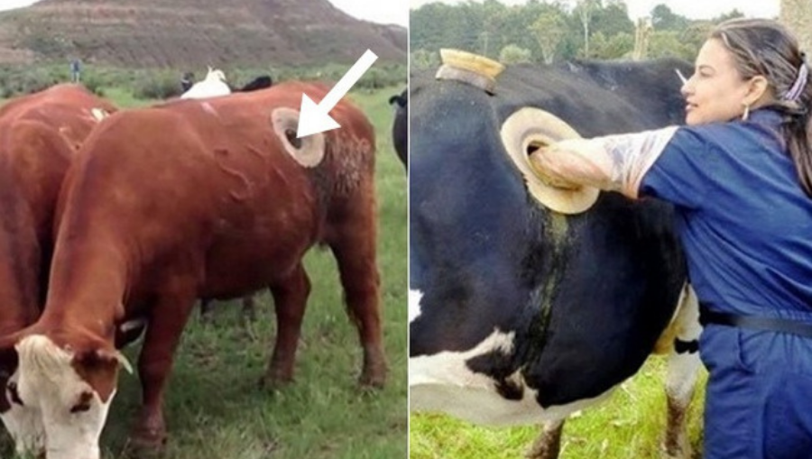 Thiết Kế Chưa Có Tên (16)