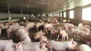 Thiết Kế Chưa Có Tên (17)