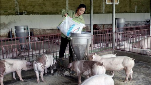 Thiết Kế Chưa Có Tên (18)