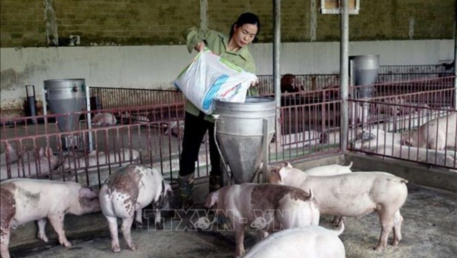 Thiết Kế Chưa Có Tên (18)