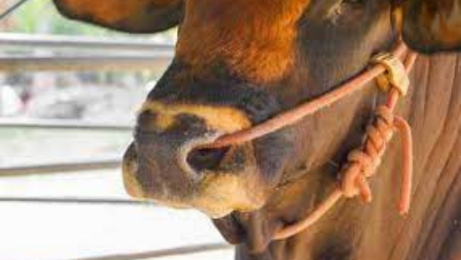 Thiết Kế Chưa Có Tên (19)