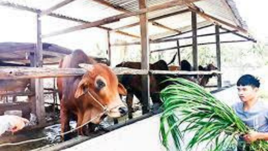 Thiết Kế Chưa Có Tên (5)