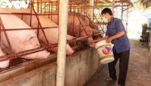 Thiết Kế Chưa Có Tên (7)