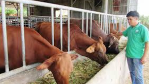 Thiết Kế Chưa Có Tên (8)