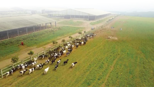 Thiết Kế Chưa Có Tên (9)