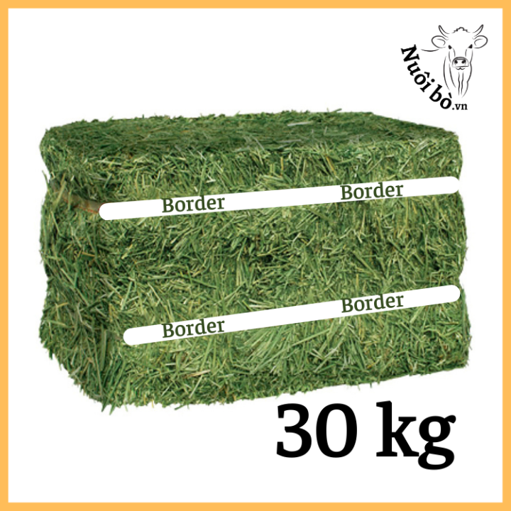Co_kho_alfalfa_kien_30kg_0906732376