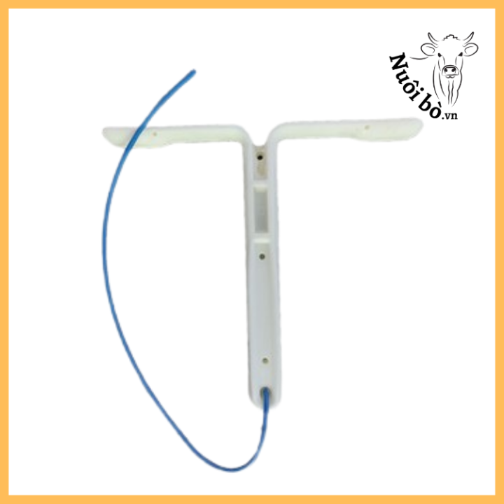 Vong_cird_0906732376_1(1)