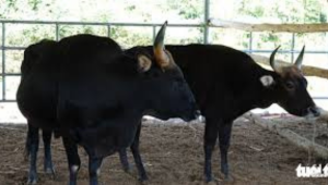 Thiết Kế Chưa Có Tên (22)