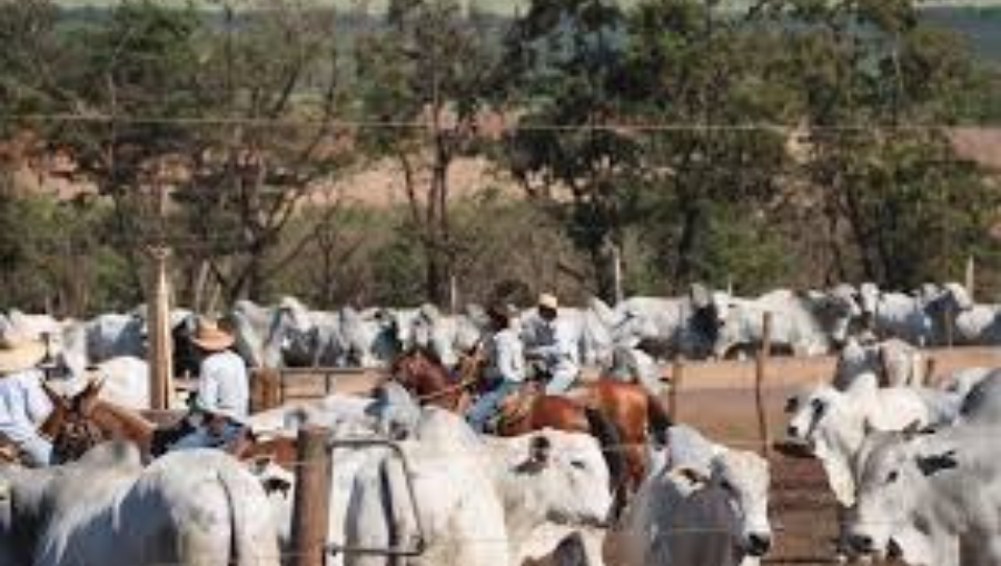 Thiết Kế Chưa Có Tên (23)