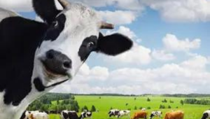 Thiết Kế Chưa Có Tên (24)