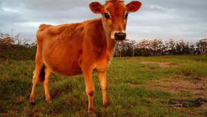 Thiết Kế Chưa Có Tên (25)