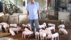 Thiết Kế Chưa Có Tên (27)