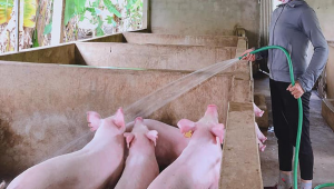 Thiết Kế Chưa Có Tên (31)