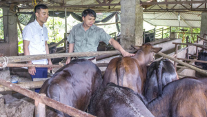 Thiết Kế Chưa Có Tên (33)