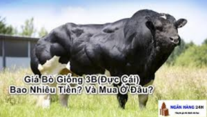 Thiết Kế Chưa Có Tên (34)