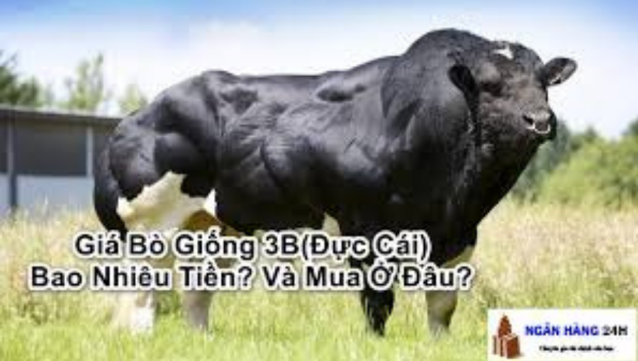 Thiết Kế Chưa Có Tên (34)