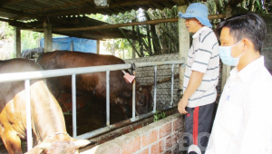 Thiết Kế Chưa Có Tên (35)