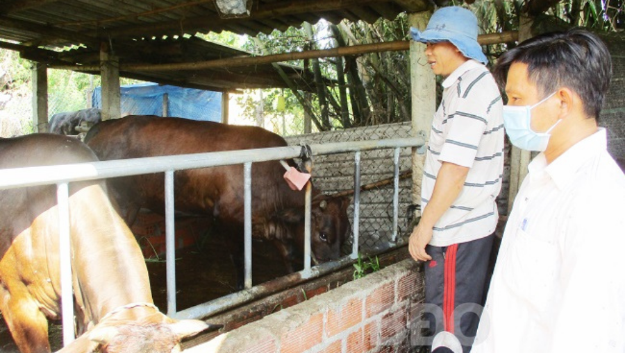 Thiết Kế Chưa Có Tên (35)